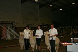 Galinchen 2012