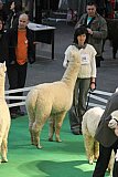 Ilshofen 2012