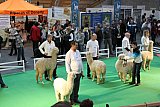 Ilshofen 2012