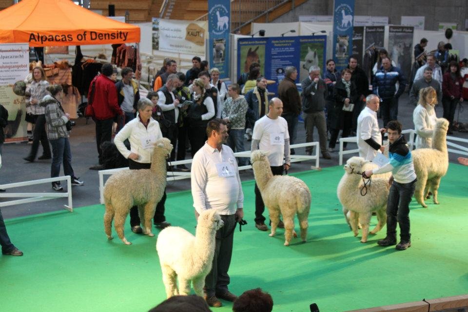 Ilshofen 2012