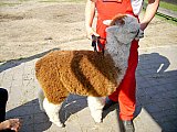 Grundlagenseminar