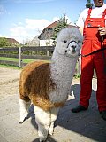 Grundlagenseminar