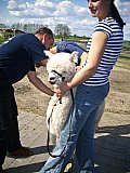 Grundlagenseminar