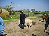Grundlagenseminar
