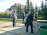 Grundlagenseminar