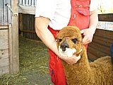 Grundlagenseminar