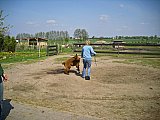 Grundlagenseminar