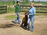 Grundlagenseminar