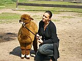Grundlagenseminar