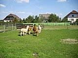 Grundlagenseminar