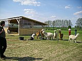 Grundlagenseminar