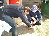 Grundlagenseminar