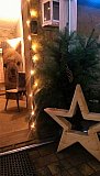 Alpaca Advent
