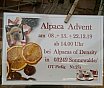Alpaca Advent 2019