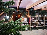 Alpaca Advent 2019