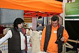 Ilshofen 2012