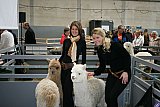 Ilshofen 2012